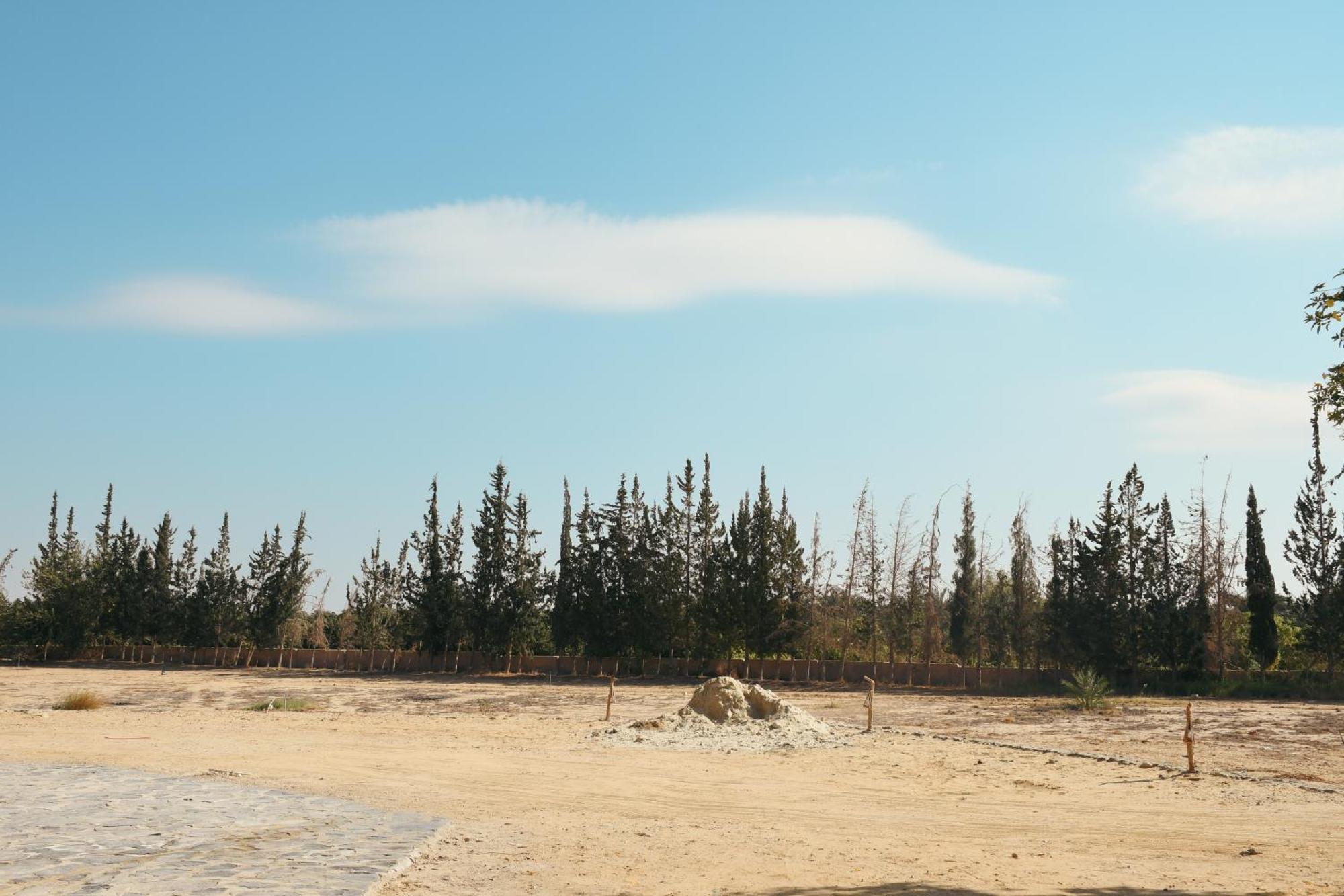 Tzila Bahariya Villa Bahariya Oasis Exterior photo